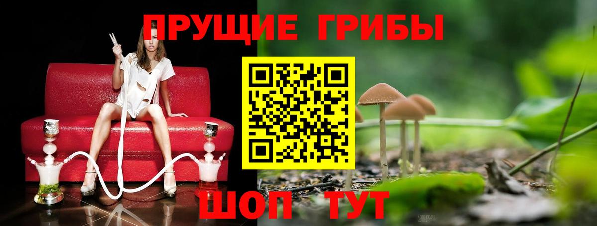 Псилоцибиновые грибы мицелий  Вход с VPN  Кимры 